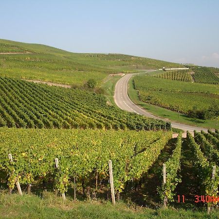 Gite Du Vigneron Тюркайм Екстер'єр фото